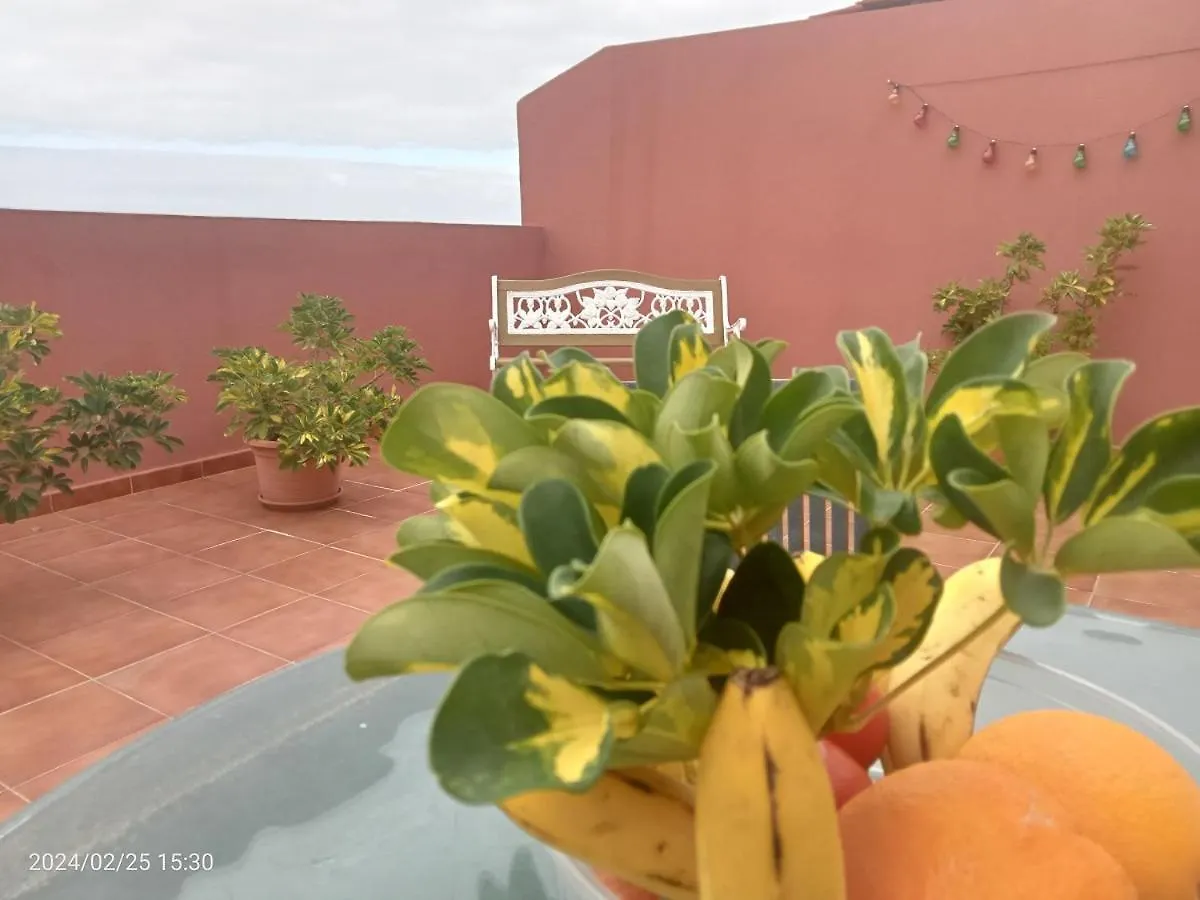Beatifull Apartament Sea View In Pto Cruz 푸에르토 드 라 크루즈 0*,
